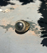 Load image into Gallery viewer, Lure of the Rock Pools